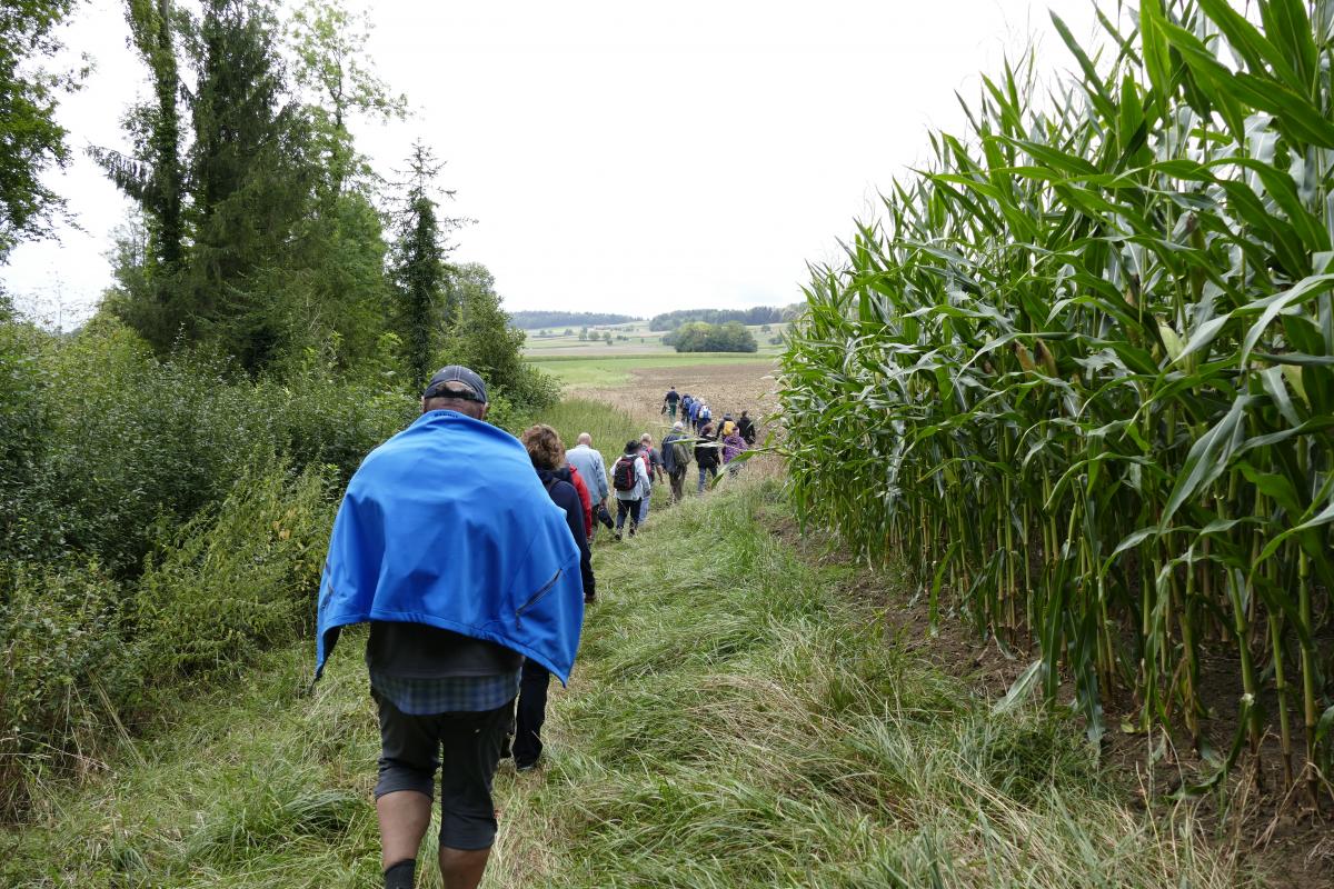 Grenzwanderung