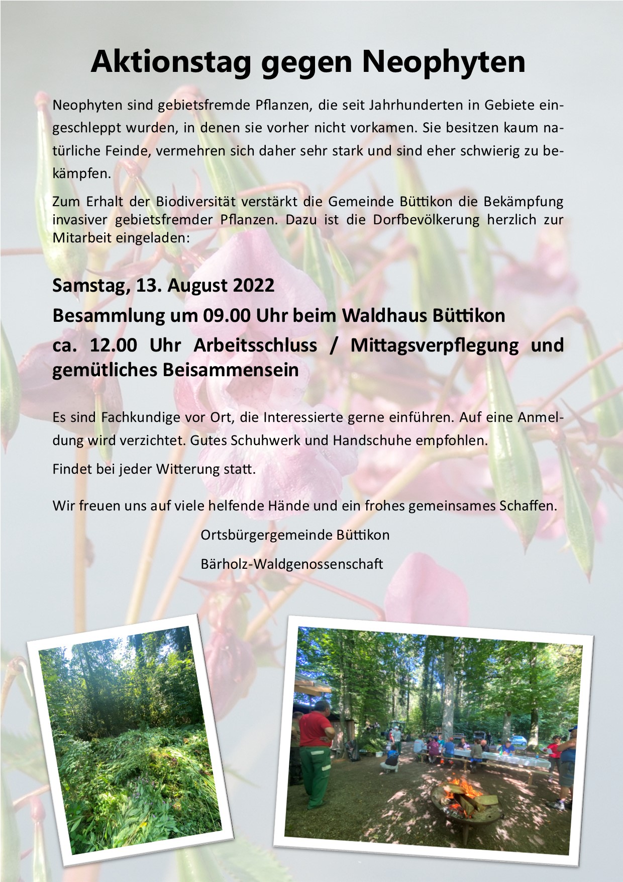 Flyer Neophyten