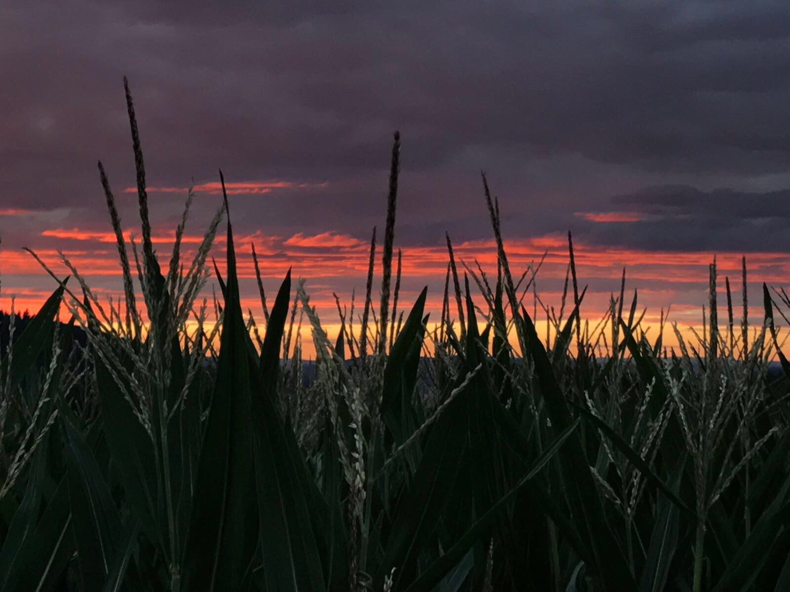 Sonnenuntergang