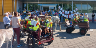 Eseltaxi2